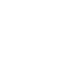 VOLTIGE